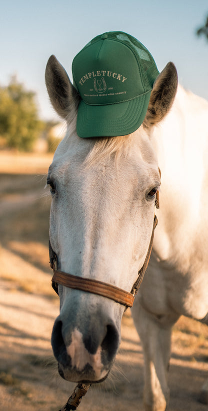 Logo Hat - Brown